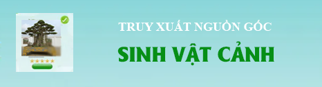 Sinh vật cảnh